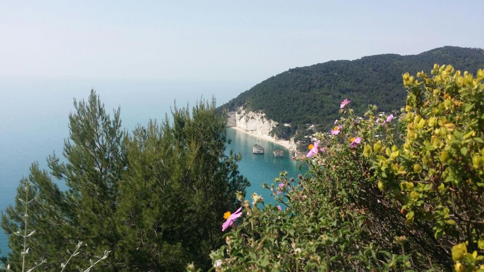 Olive&Sea Villa-Olive Mattinata Kültér fotó