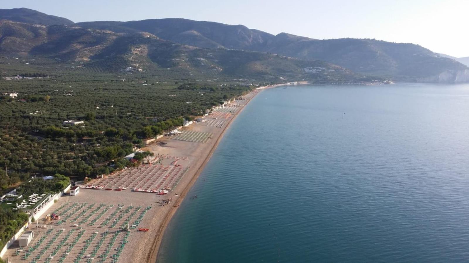 Olive&Sea Villa-Olive Mattinata Kültér fotó