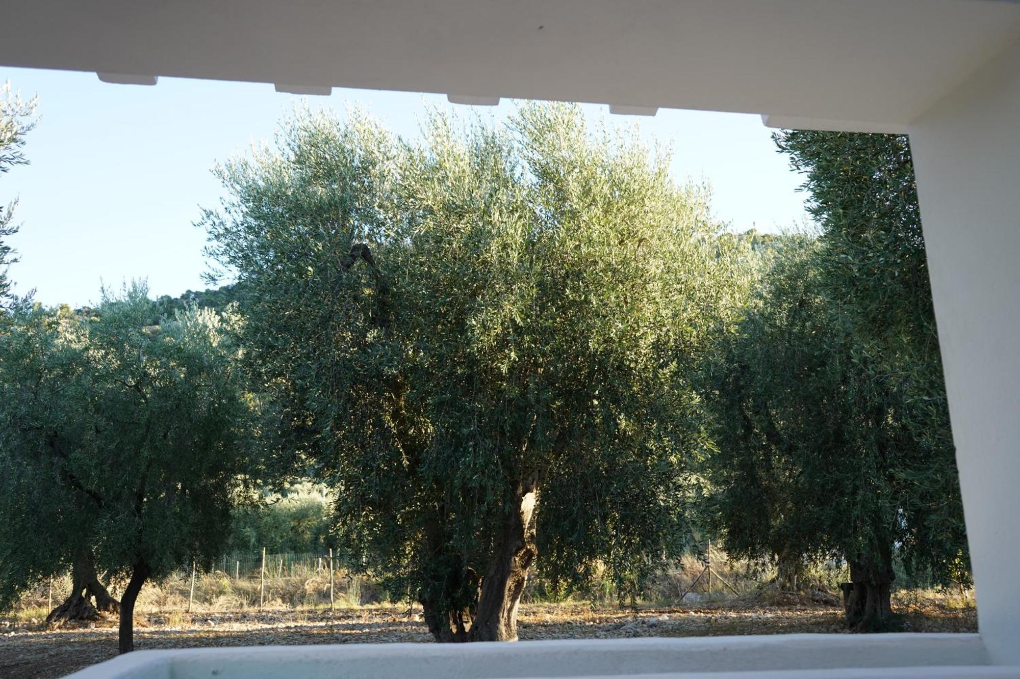 Olive&Sea Villa-Olive Mattinata Kültér fotó