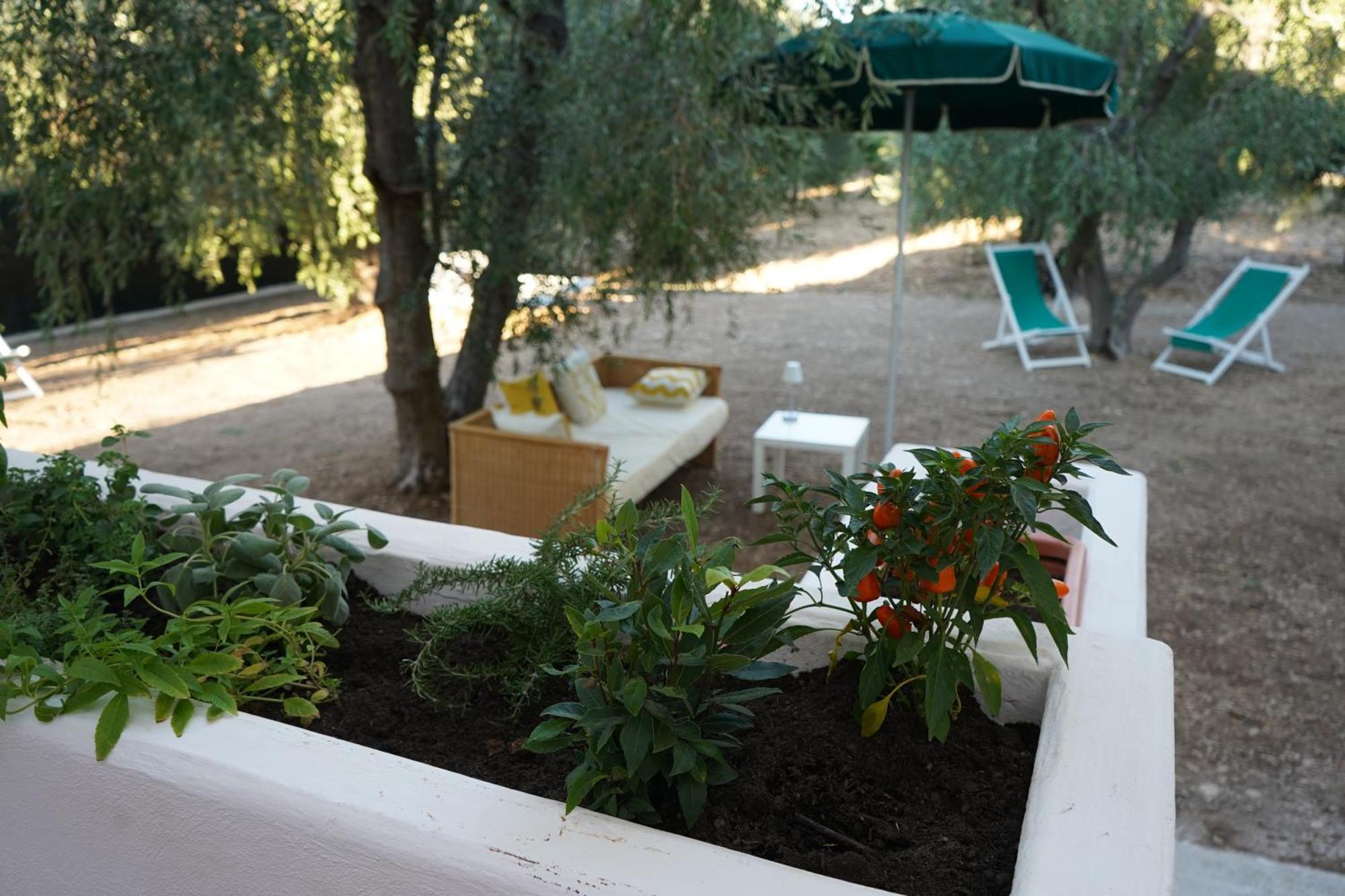 Olive&Sea Villa-Olive Mattinata Kültér fotó