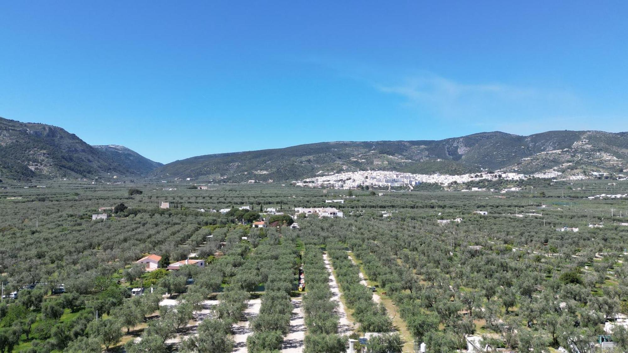 Olive&Sea Villa-Olive Mattinata Kültér fotó