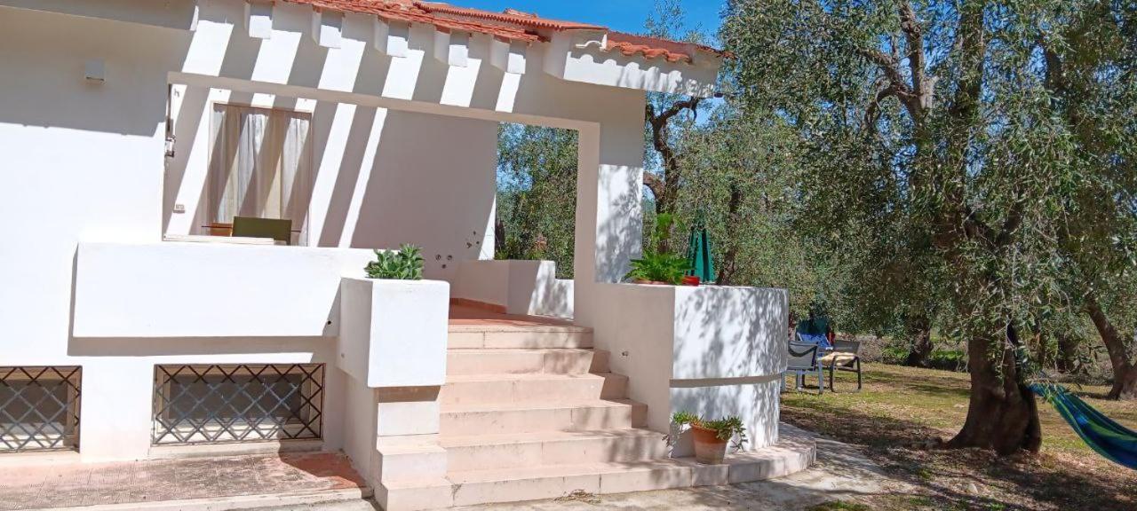Olive&Sea Villa-Olive Mattinata Kültér fotó
