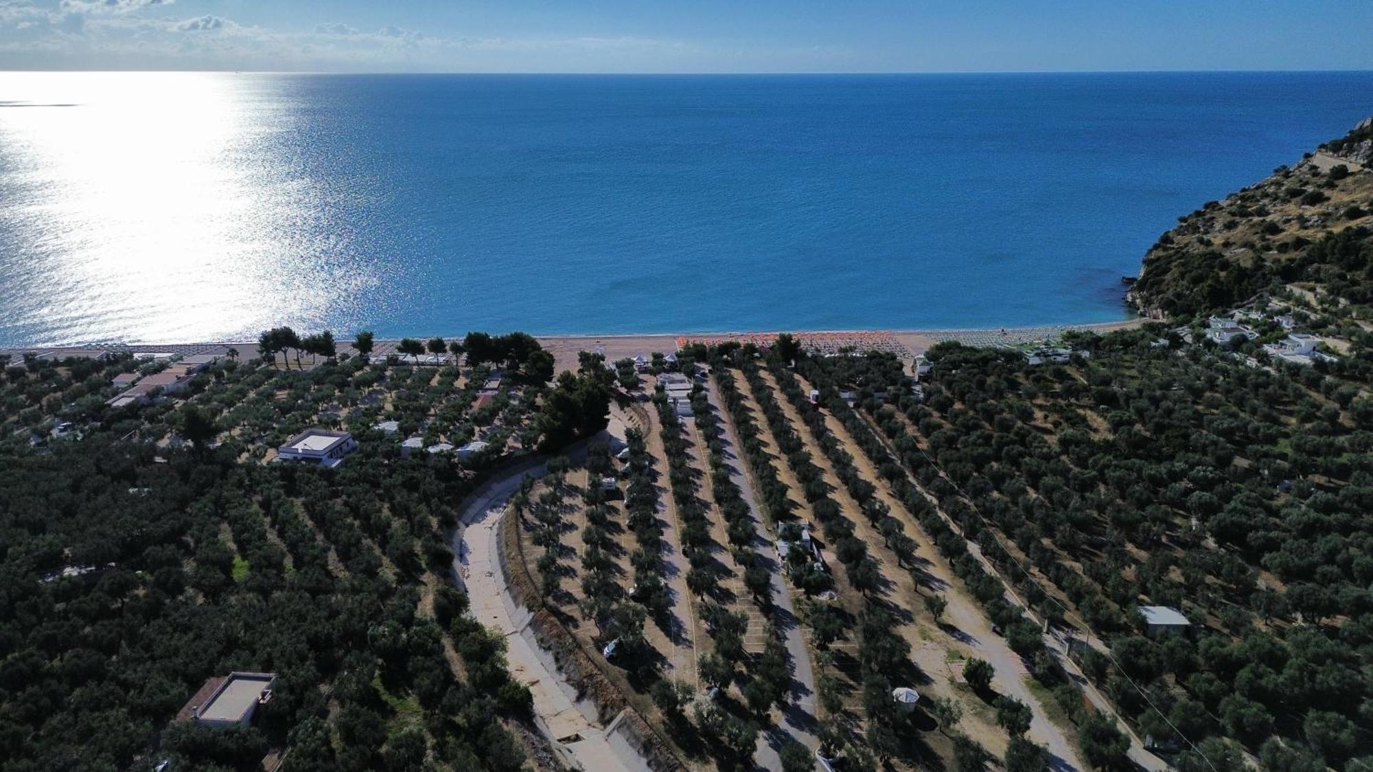 Olive&Sea Villa-Olive Mattinata Kültér fotó