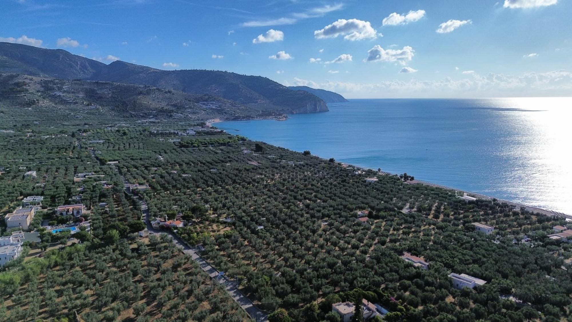 Olive&Sea Villa-Olive Mattinata Kültér fotó